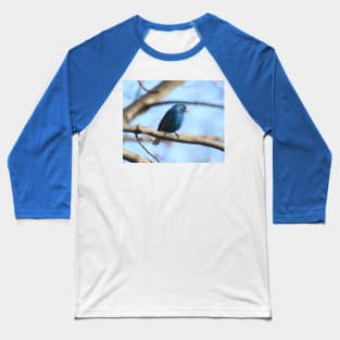 Indigo Bunting No.7 Baseball T-Shirt